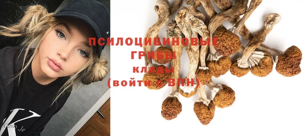 гидра Абинск