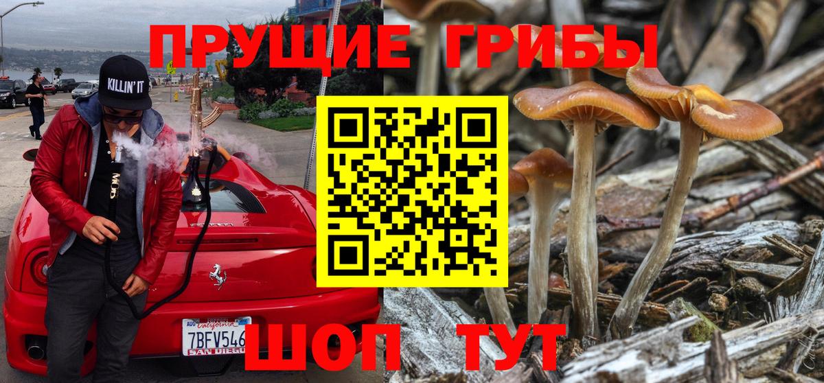 Галлюциногенные грибы ЛСД Камень-на-Оби