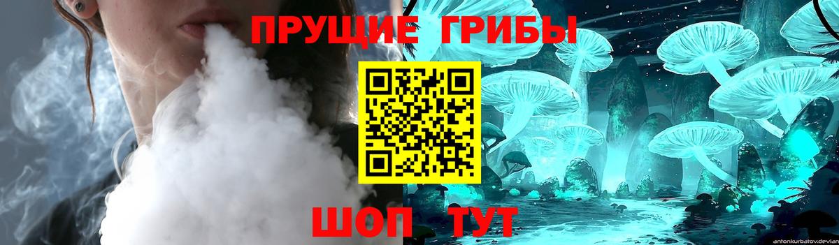 Галлюциногенные грибы GOLDEN TEACHER  Вход с VPN  магазин  наркотиков  Псилоцибиновые грибы Magic Shrooms  Камень-на-Оби 