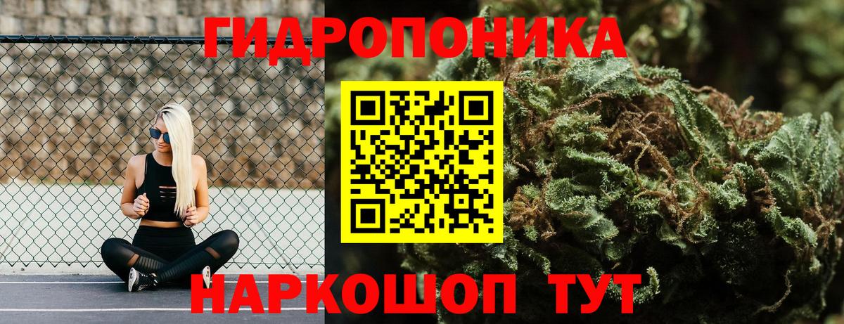 Бошки марихуана Amnesia  Вход с VPN  Канабис планчик  Канабис Amnesia  Камень-на-Оби 